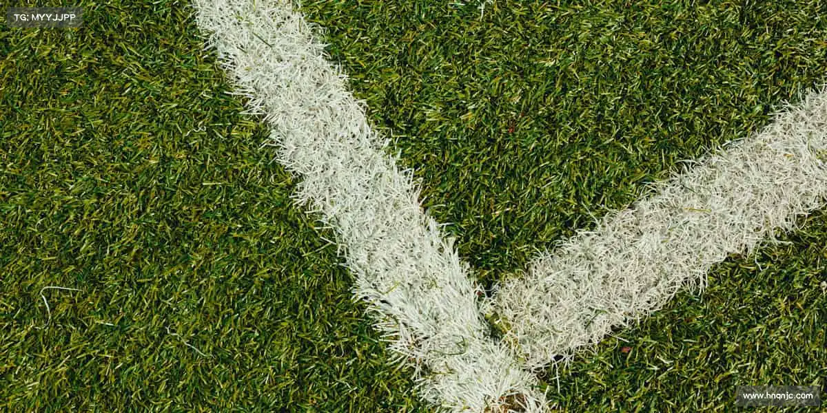 <strong>xc体育</strong>🤼‍♂️对抗的是对手，超越的是自己！体育首页，为你的拼搏喝彩～